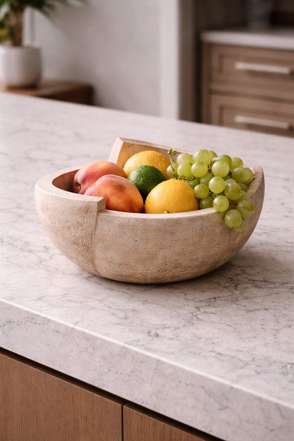 Terra Dish
